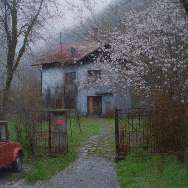 Money Flip - I Think I Love You 2