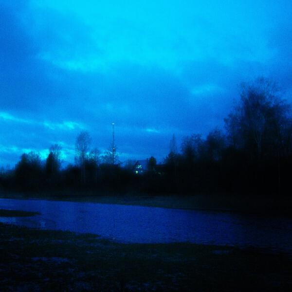 Money Flip, SENHEL - february sorrow