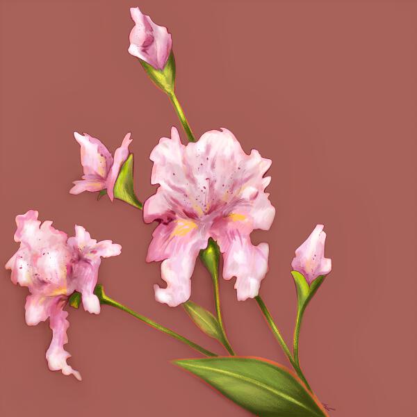 ДОЖДИДОЗАВТРА - Я + ты