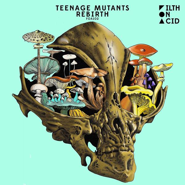 Teenage Mutants, Heerhorst - Pandemonium