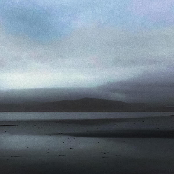 Forsch - Conscience Cycle