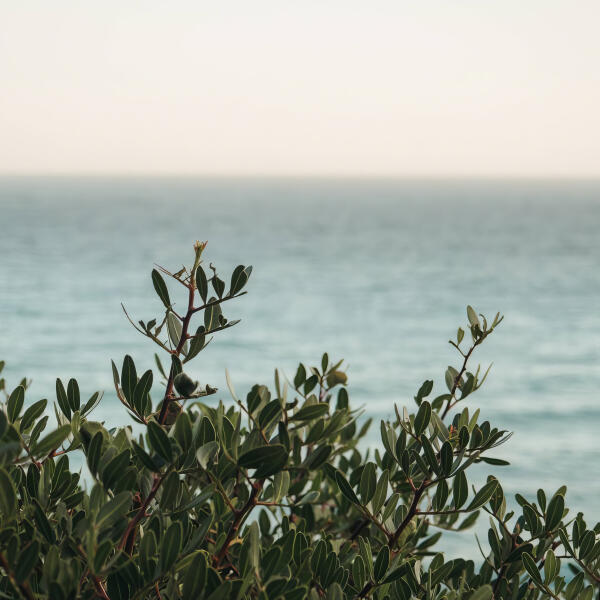 Alexander Demidov - Recognize