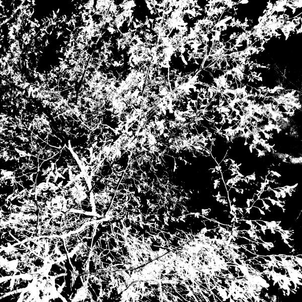 Silecut, Ineedrest - Эхо девяностых