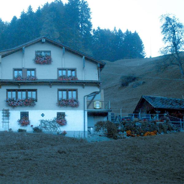 Money Flip - shades of you