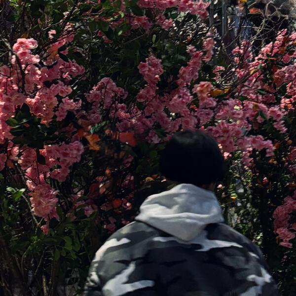 lowlife - мы не такие, как они