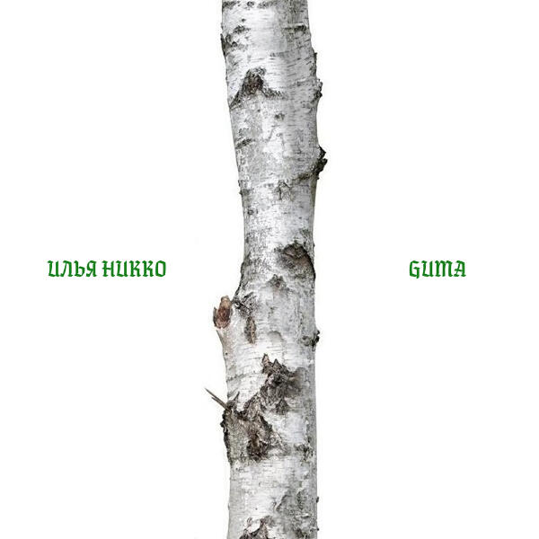 Илья Никко, GUMA - Берёза