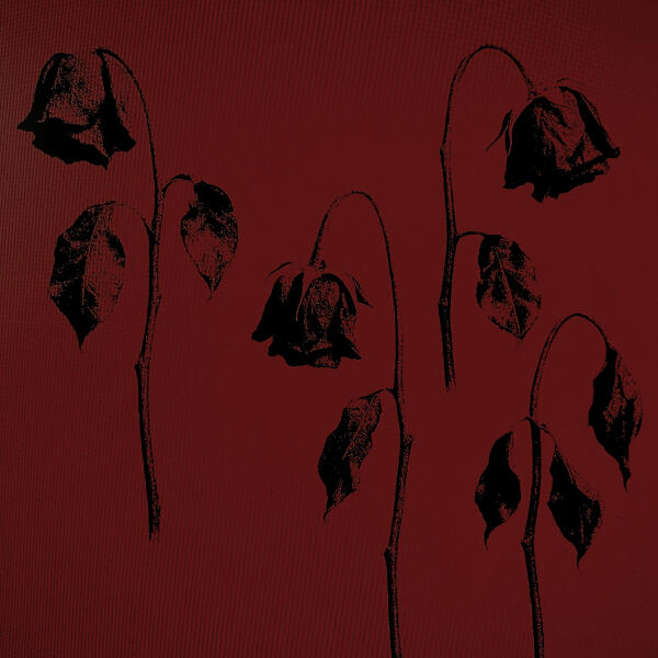 балкон ожиданий - сходили с ума