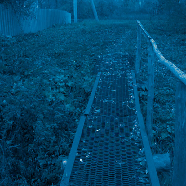 the morph - sympathy