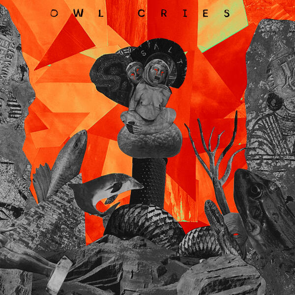 Owl Cries - A Life Misled
