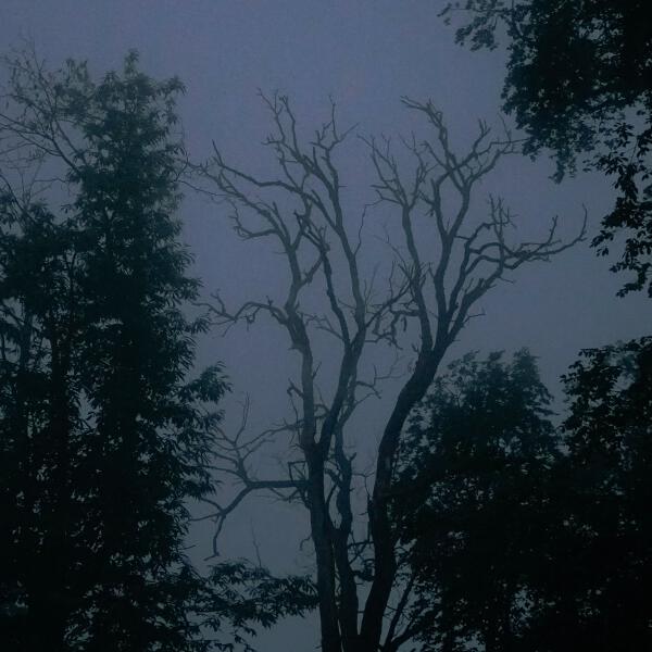 Money Flip - i still see you