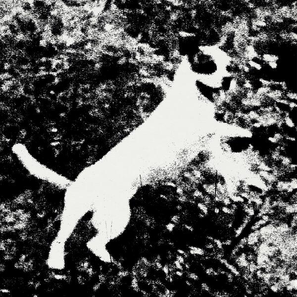 Edmondson - Every Night I Dream Of Catching Trains