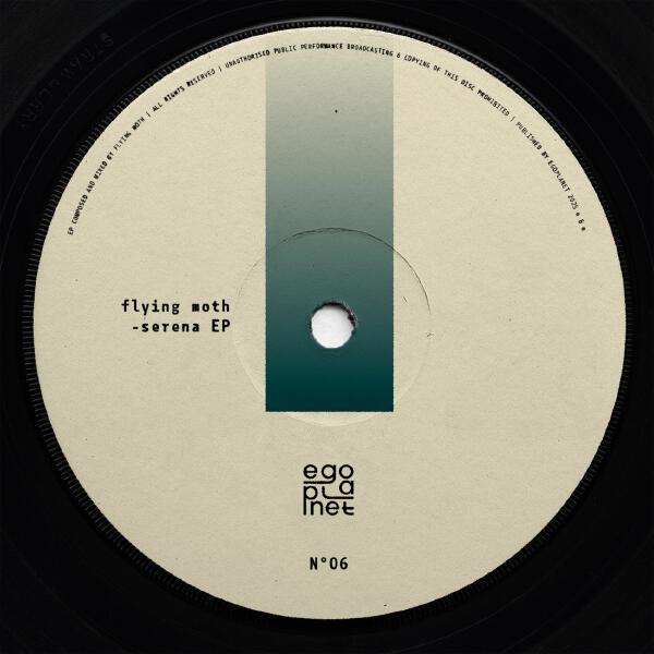 Flying Moth - Life's Projections