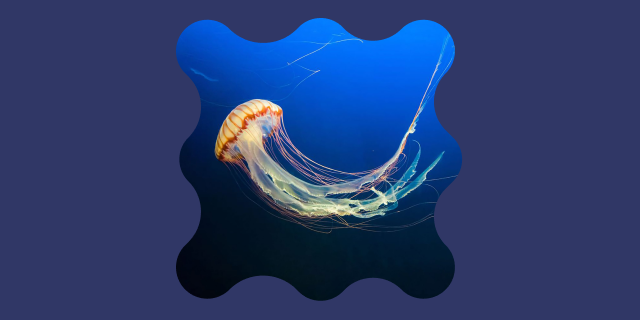 Погружение в электронику HiFi