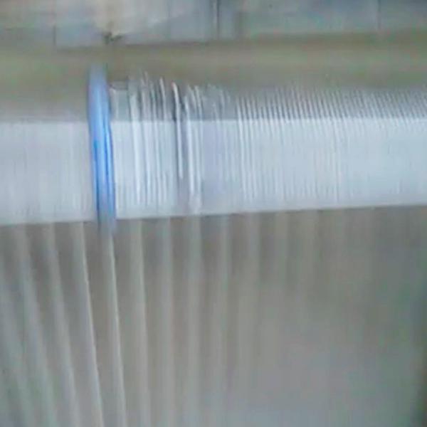 Caroline - peak chroma