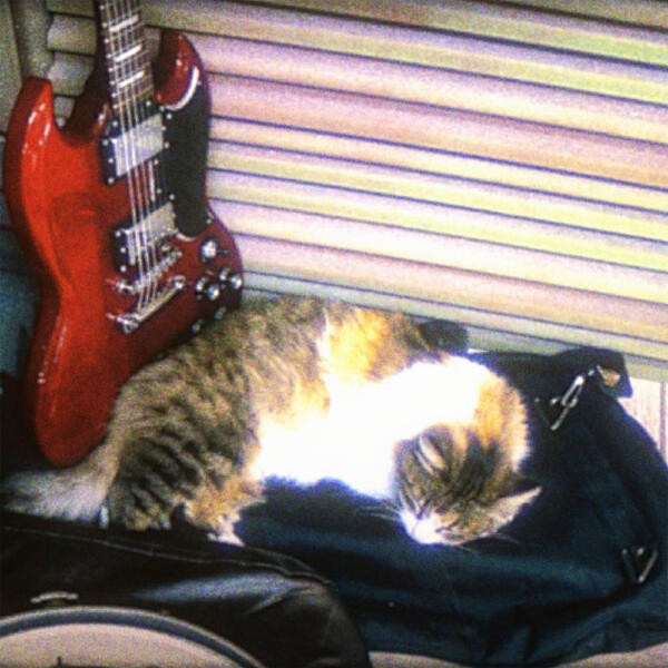 metaego - turu, turu, turu