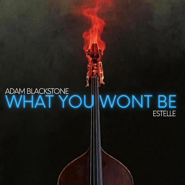 Adam Blackstone, Estelle - What You Won't Be