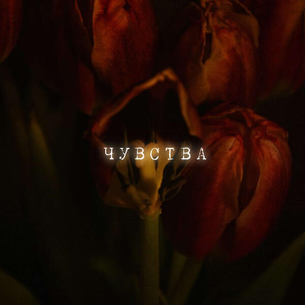 LYAM AUPRO - Чувства