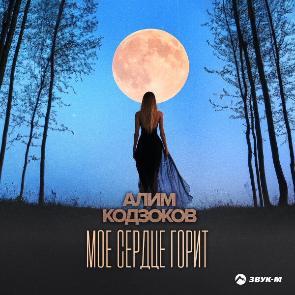 Алим Кодзоков - Моё сердце горит
