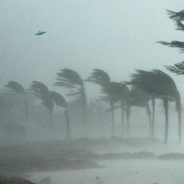 Phoenix, Braxe, Ufos, Falcon - UFO