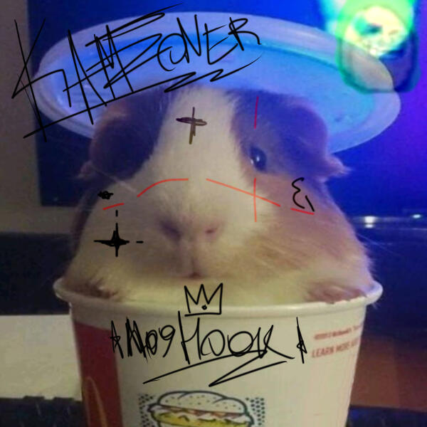 KAMZ0NER, no9hook - у тебя большая с: