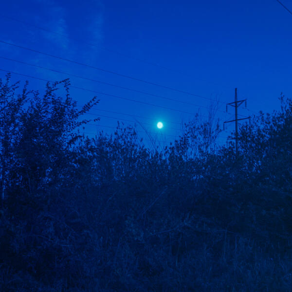 the morph - broke again