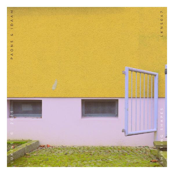 Paons, Idaam - Shifting Shapes