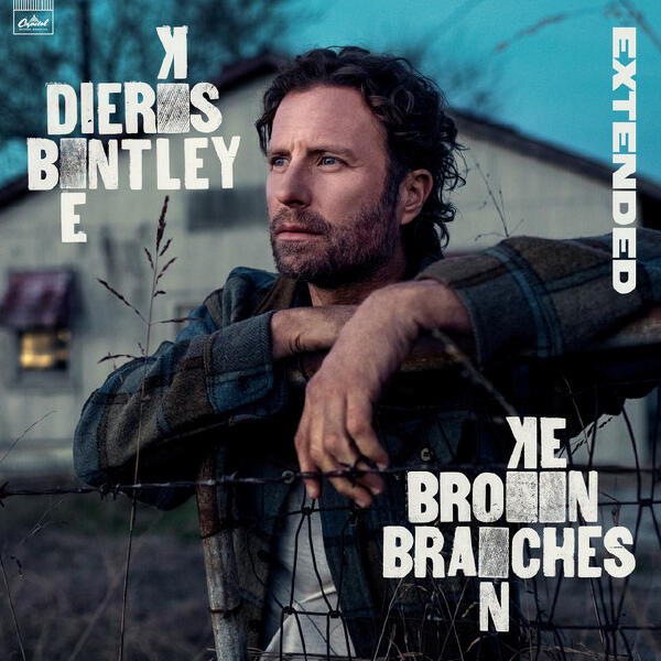 Dierks Bentley - Something Worth Fixing
