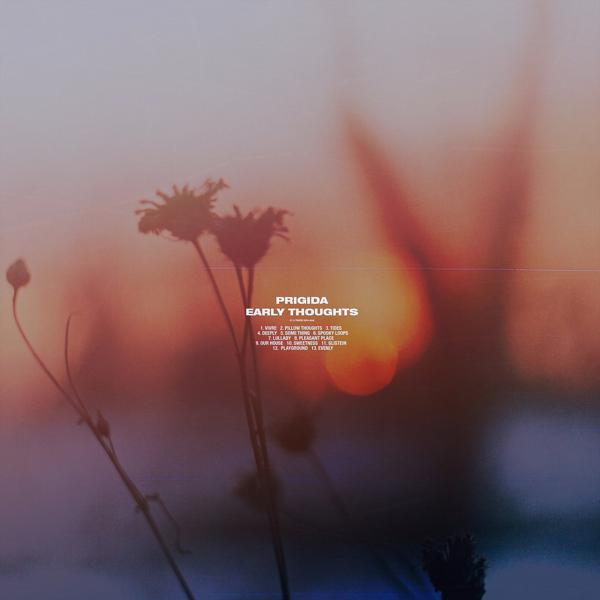 Prigida - Pillow Thoughts