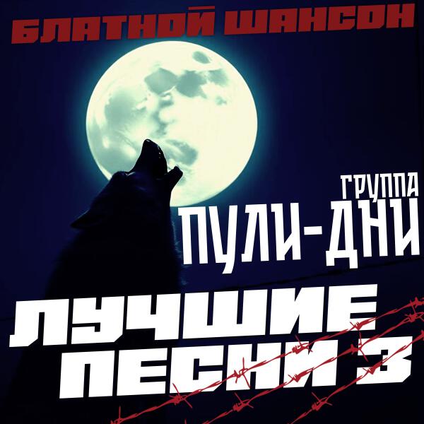 Группа Пули-Дни - Жизнь бродячая