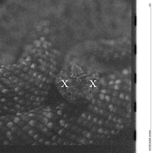 David Brown, Роман Суслов - После всего