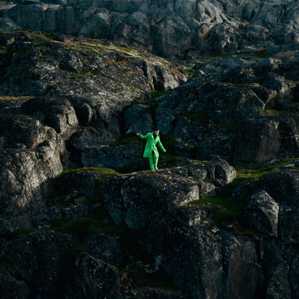 vestfalin - буду ждать