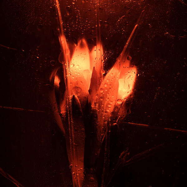 Лиза Матрешка - Пламя (Acoustic)