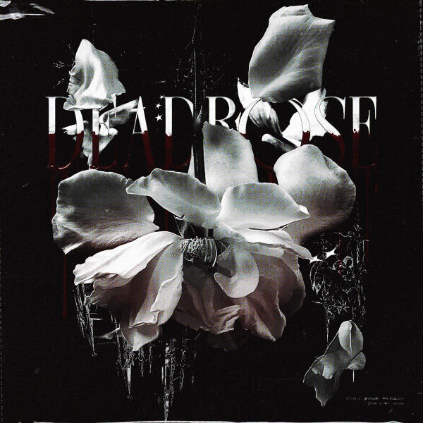 DJ Anemia - deadrose