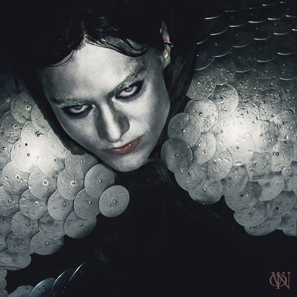 vestfalin - выстрелы