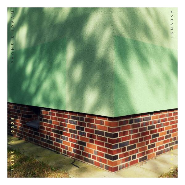 Paons, Idaam - Unframed