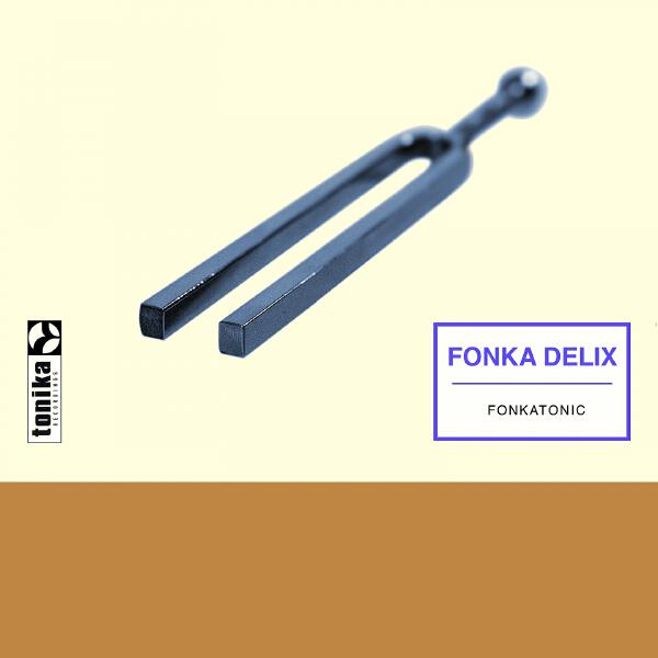 Fonka Delix - My Life