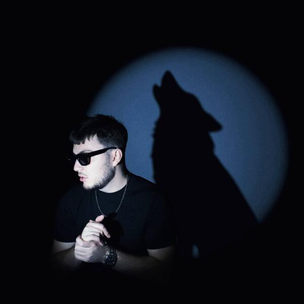 obrazx - WOLF ACOUSTIC.