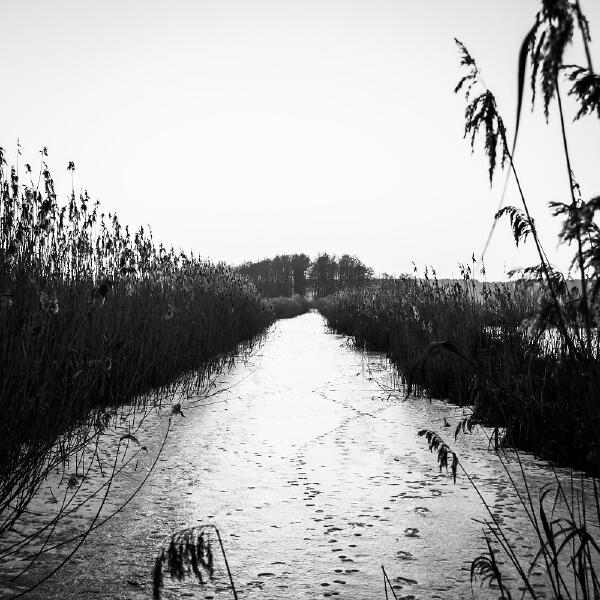 Armando Letico - Jada Temple (Mollono.Bass Remix)