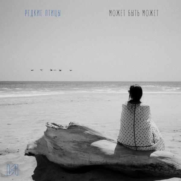 редкие птицы - может быть может