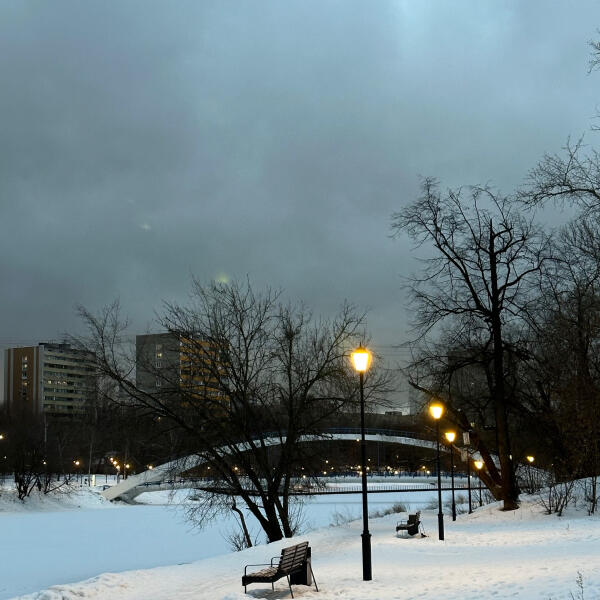 Savva Blinnikov - Overcast February Sky