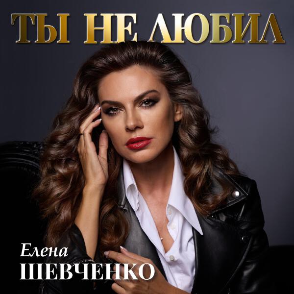 Елена Шевченко - Ты не любил