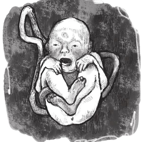 MOCKUMENTARY, Booker, Lissa - ТВИСТЕД ВИЛ