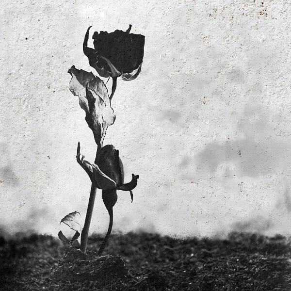 Lxe, BALADJA - Бережно манила